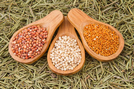 grains of red and white sorghum (Sorghum).