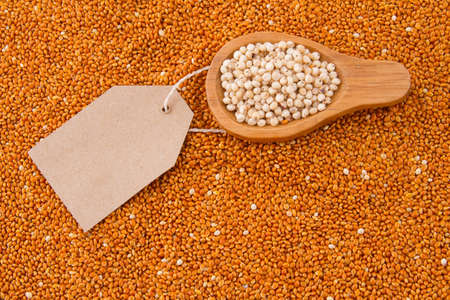 grains of red and white sorghum (Sorghum).の写真素材