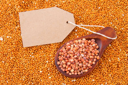 grains of red and white sorghum (Sorghum).の写真素材
