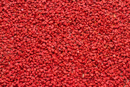 Seeds of achiote, originating from central america and parts of south america is used to season foodの写真素材