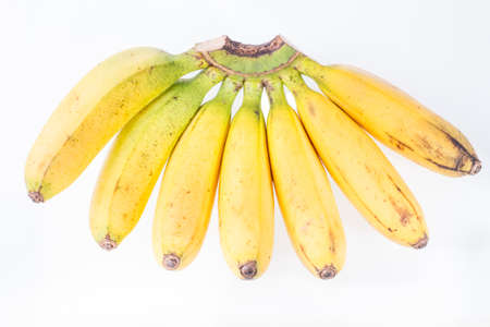 banana fruit isolated on white background (Musa Ã paradisiaca)の写真素材