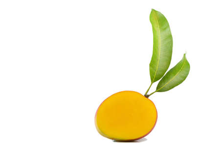 mango fruit isolated on white background
