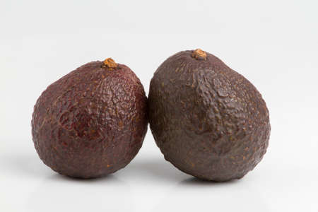 avocado fruits isolated on white background