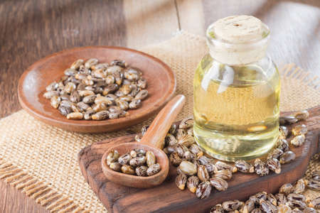 seeds and castor oil on the wooden table - Ricinus communisの写真素材