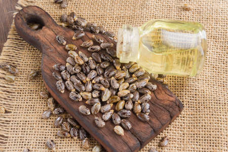 seeds and castor oil on the wooden table - Ricinus communisの写真素材