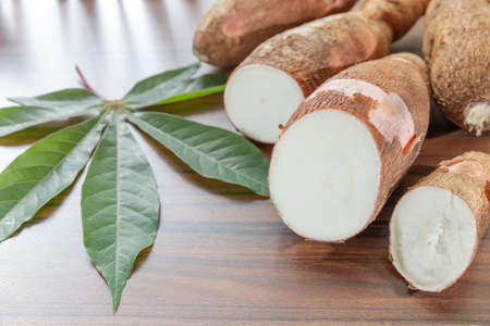 cassava slices on the table.の写真素材