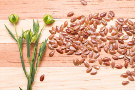 flax seed grains on the table, Linum usitatissimumの写真素材
