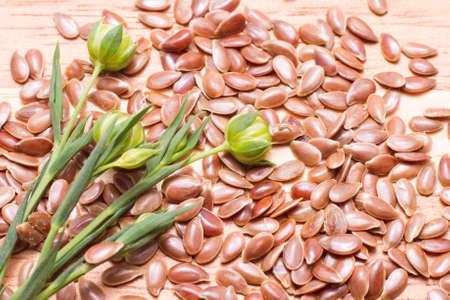 flax seed grains on the table, Linum usitatissimumの写真素材