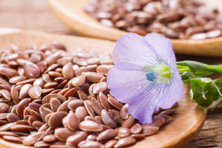 flax seed grains on the table, Linum usitatissimumの写真素材