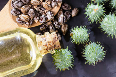 beans and castor oil on the black tableの写真素材