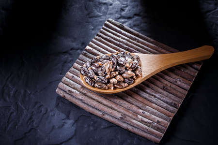 castor oil seeds on black backgroundの写真素材