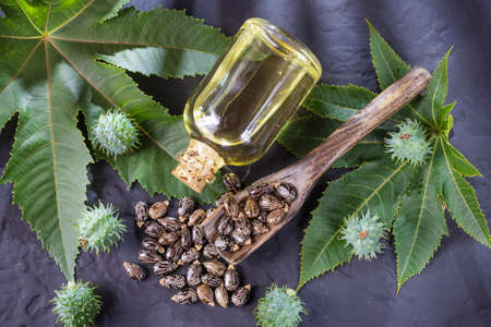 beans and castor oil on the black tableの写真素材