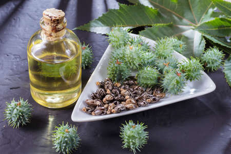 beans and castor oil on the black tableの写真素材