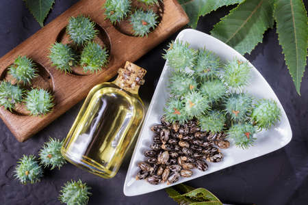 beans and castor oil on the black tableの写真素材