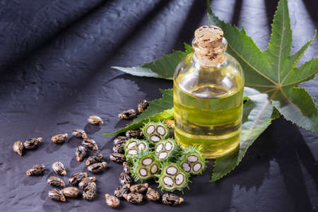beans and castor oil on the black tableの写真素材
