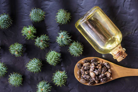 beans and castor oil on the black tableの写真素材