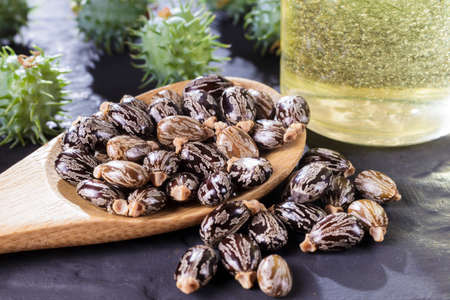 beans and castor oil on the black tableの写真素材