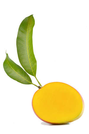 mango fruit isolated on white backgroundの写真素材