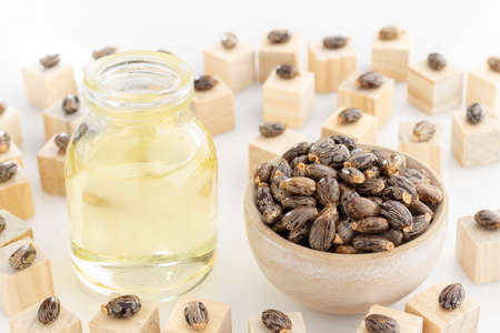 oil and castor beans on white background.の写真素材