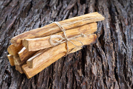 Bursera graveolens, essence and resin. in Spanish ("palo santo") is a wild tree in Latin America. used as incense.の写真素材