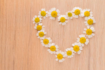 chamomile flowers on wooden backgroundの写真素材