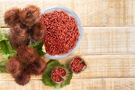 Seeds of achiote, originating from central america and parts of south america is used to season foodの写真素材