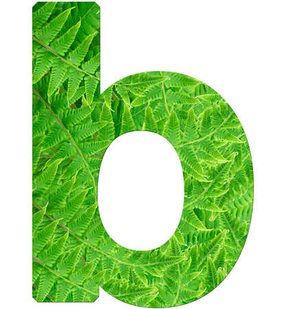 letter b with texture of fern leaves, font Helvetica Word, boldの写真素材