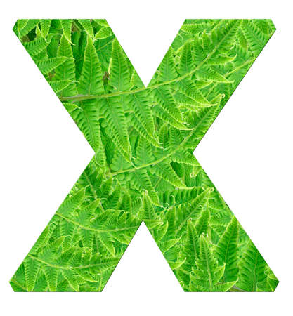 letter x with texture of fern leaves, font Helvetica Word, boldの写真素材