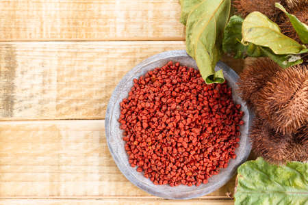 Seeds of achiote, originating from central america and parts of south america is used to season foodの写真素材