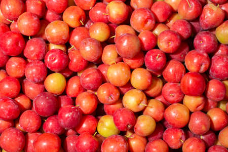 pile of plums in the market. top view