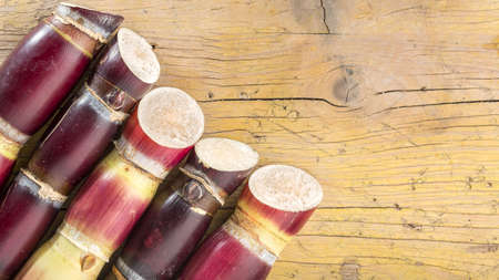 stack of sugar cane on the table, top viewの写真素材