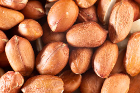 peanut grains, close-up image top viewの写真素材