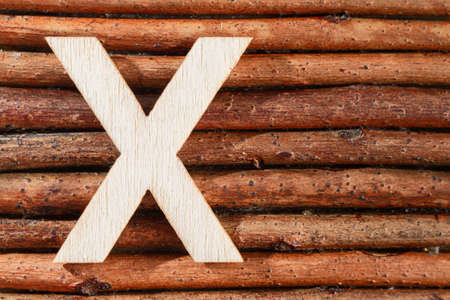Letter X of wood-made alphabet, top view and space for textの写真素材