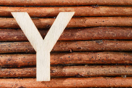 Letter Y of wood-made alphabet, top view and space for textの写真素材