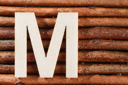 Letter M of wood-made alphabet, top view and space for textの写真素材