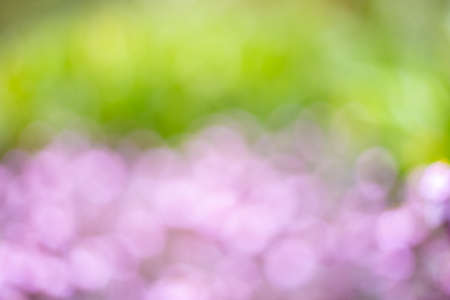 natural background out of focus in green and pink colors