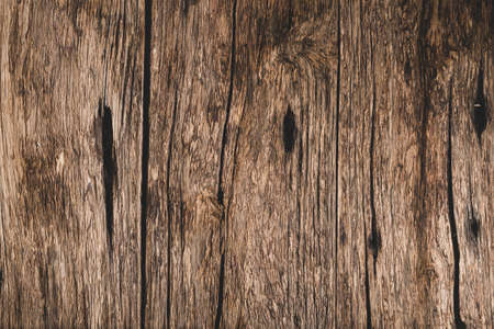 Old wood texture, space for text, close-upの写真素材