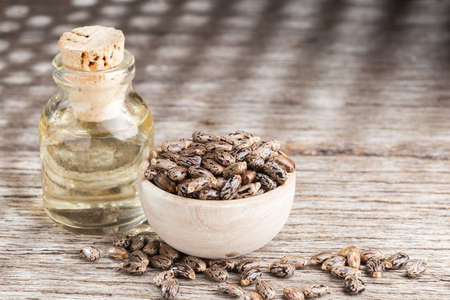 Castor oil and seeds on wood, space for textの写真素材