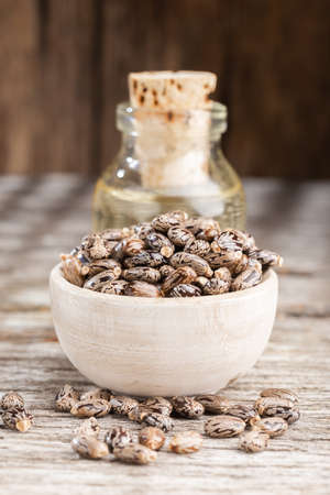 Castor oil and seeds on wood, space for textの写真素材