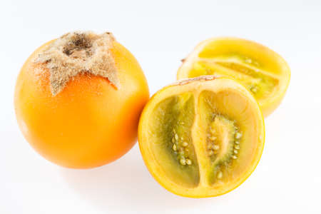 Lulo or naranjilla fruit on white, subtropical perennial plant of northwestern South America, close-up image, Solanum quitoenseの写真素材