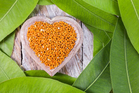 Bowl with red millet grains surrounded by green leaves on wooden background, top viewの写真素材