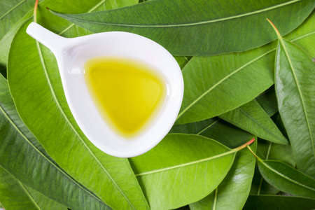eucalyptus essential oil in bowl, with eucalyptus leaves on wooden backgroundの写真素材