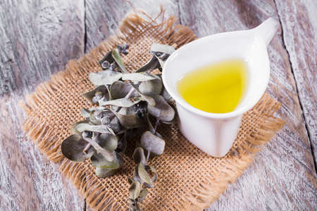 eucalyptus essential oil in bowl, with eucalyptus leaves on wooden backgroundの写真素材
