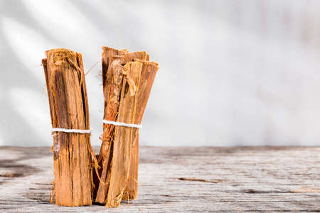 bark of medicinal plant cat's claw, uncaria tomentosa