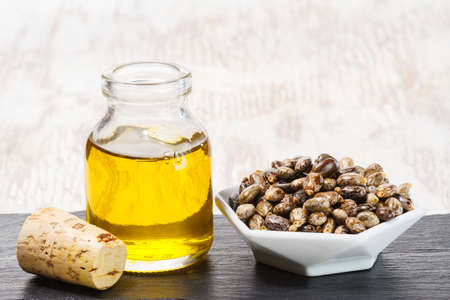 castor oil and seeds isolated on white background, close-up imageの写真素材