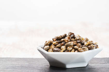 castor oil seeds isolated on white background, close-up imageの写真素材