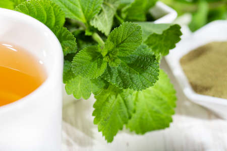 Purple sage plant and tea on the table, Lippia Alba
