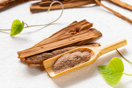 bark and powder of licorice medicinal plant, on white background - Uncaria tomentosaの写真素材