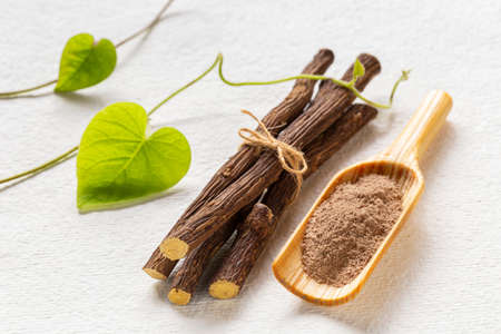 Root and powder of medicinal licorice plant, on white background - Glycyrrhiza glabraの写真素材