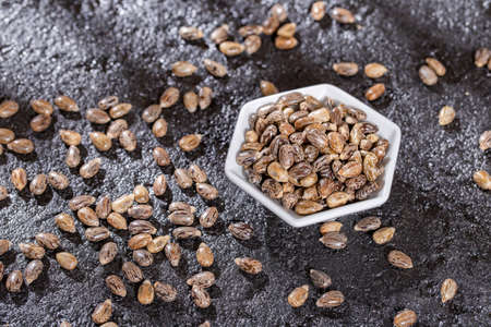 castor oil seed on black background, close-up